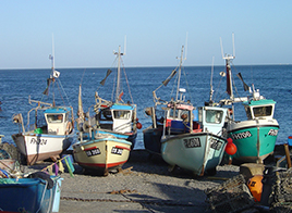 Cadgwith Boats