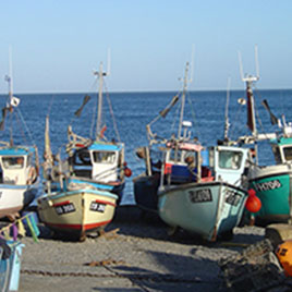 Cadgwith Boats